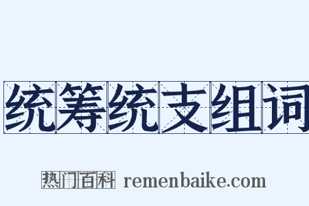 统筹统支组词是什么意思的图片